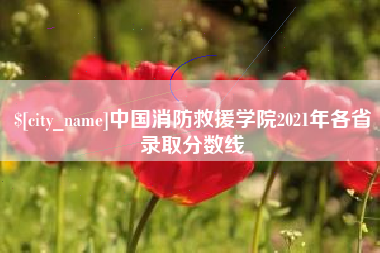 海口中国消防救援学院2021年各省录取分数线