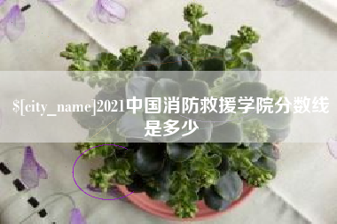 海口2021中国消防救援学院分数线是多少