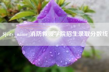 海口消防救援学院招生录取分数线