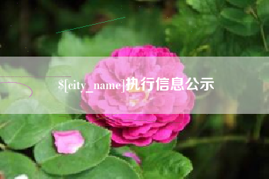 海口执行信息公示