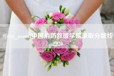 海口中国消防救援学院录取分数线2020