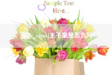 海口王子豪是怎么写