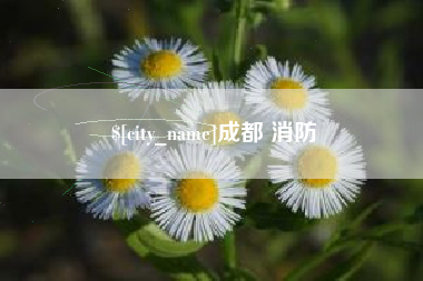 海口成都 消防