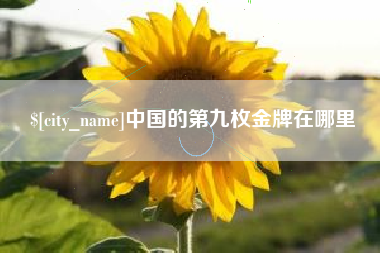 海口中国的第九枚金牌在哪里