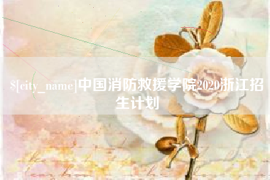 海口中国消防救援学院2020浙江招生计划