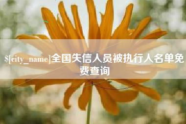 海口全国失信人员被执行人名单免费查询