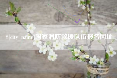 海口国家消防救援队伍报名网址
