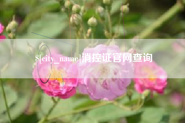 海口消控证官网查询