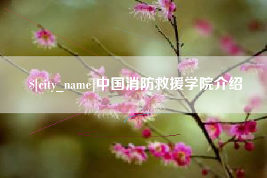 海口中国消防救援学院介绍