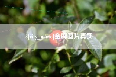 海口金牌图片真实