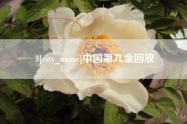 海口中国第九金回放