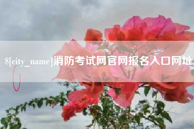 海口消防考试网官网报名入口网址