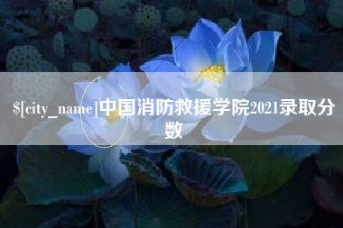海口中国消防救援学院2021录取分数