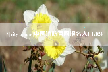 海口中国消防官网报名入口2024