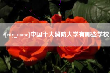海口中国十大消防大学有哪些学校