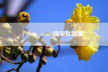 海口国家队图案