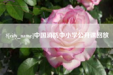 海口中国消防中小学公开课回放