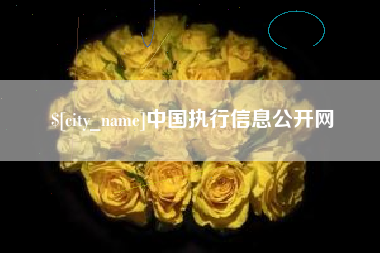 海口中国执行信息公开网
