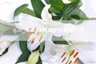 海口森林消防日是哪一天