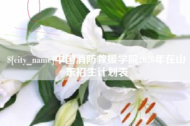 海口中国消防救援学院2020年在山东招生计划表