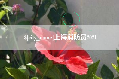 海口上海消防员2021