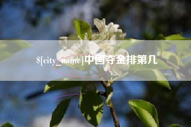 海口中国夺金排第几