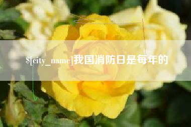 海口我国消防日是每年的