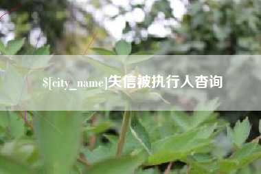 海口失信被执行人杳询