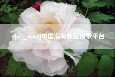 海口中国消防救援招录平台