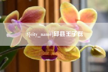 海口邱县王子磊