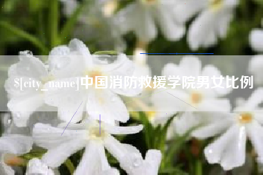 海口中国消防救援学院男女比例