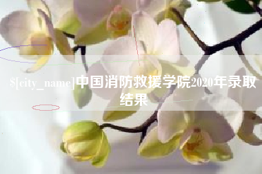 海口中国消防救援学院2020年录取结果