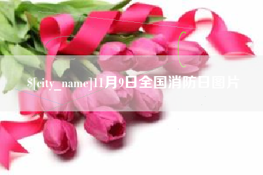 海口11月9日全国消防日图片