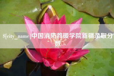 海口中国消防救援学院新疆录取分数