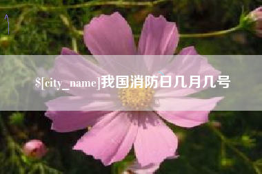 海口我国消防日几月几号