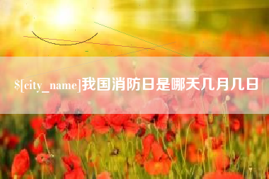 海口我国消防日是哪天几月几日