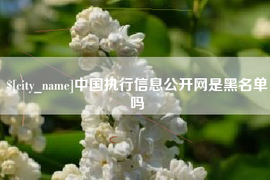 海口中国执行信息公开网是黑名单吗