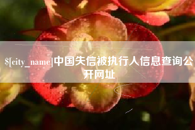 海口中国失信被执行人信息查询公开网址