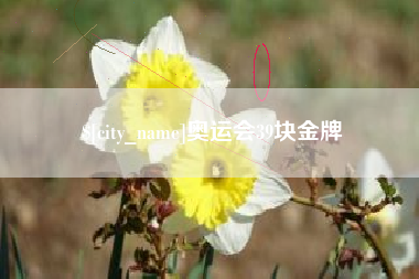 海口奥运会39块金牌