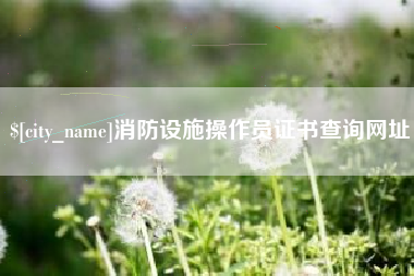 海口消防设施操作员证书查询网址