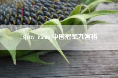 海口中国冠军九宫格