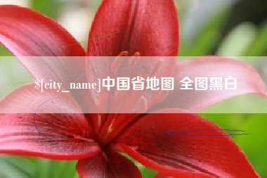 海口中国省地图 全图黑白