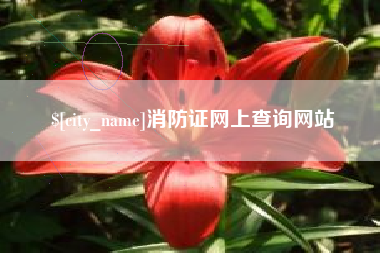 海口消防证网上查询网站