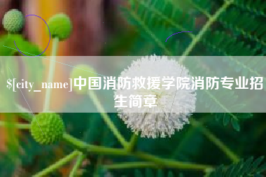 海口中国消防救援学院消防专业招生简章