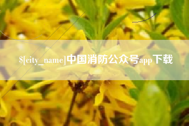 海口中国消防公众号app下载
