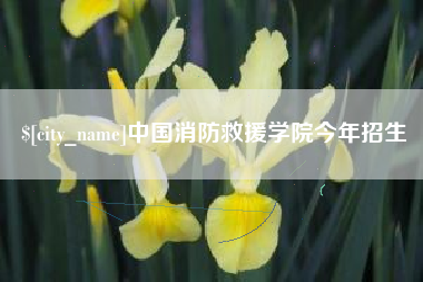 海口中国消防救援学院今年招生