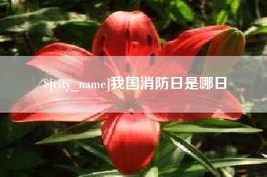 海口我国消防日是哪日