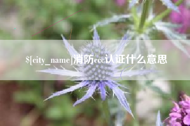 海口消防ccc认证什么意思