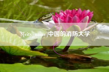 海口中国的消防大学