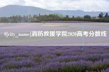 海口消防救援学院2020高考分数线